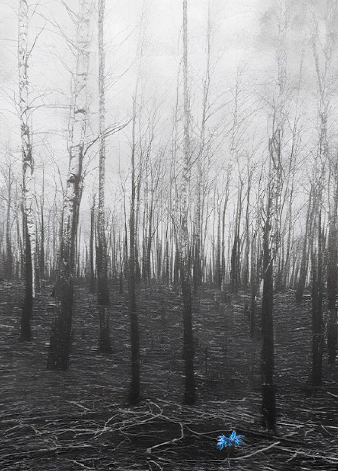 Где цветы...