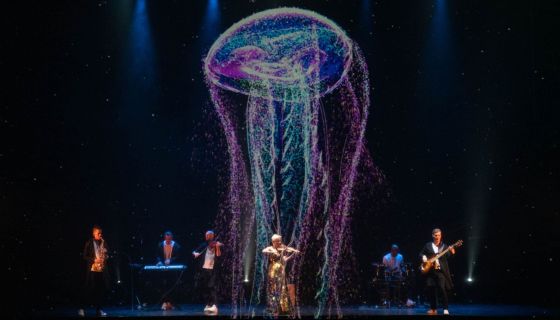 Евгения Зима. Гала-шоу