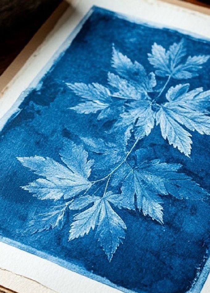 Цианотипия. Магия света