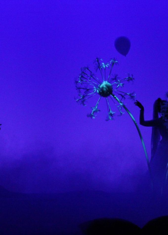 Ёжик в тумане