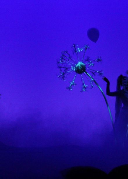 Ёжик в тумане