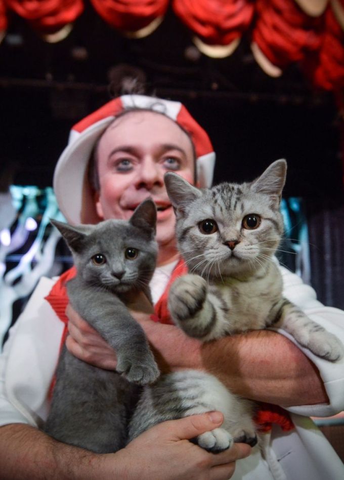 Дмитрий Куклачёв. Котобум